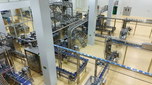 探访英氏超级工厂 婴幼儿辅食第一品牌的硬核实力